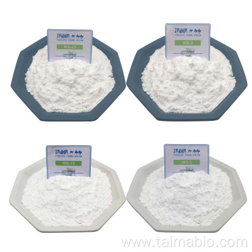 Food Additive Cooling Flavor Cooling Agent WS23 hot selling in bulk
